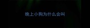 晚上小狗为什么会叫