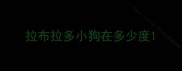 拉布拉多小狗在多少度