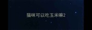 猫咪可以吃玉米嘛