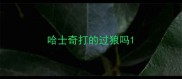 哈士奇打的过狼吗