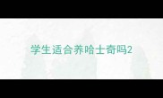 学生适合养哈士奇吗