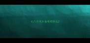 七八个月大金毛吃什么