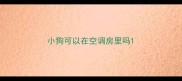 小狗可以在空调房里吗