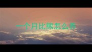 一个月比熊怎么养