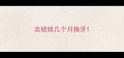 吉娃娃几个月换牙