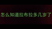 怎么知道拉布拉多几岁了