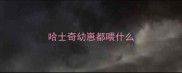 哈士奇幼崽都喂什么