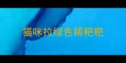 猫咪拉绿色稀粑粑
