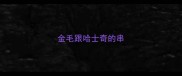 金毛跟哈士奇的串