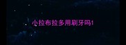 小拉布拉多用刷牙吗