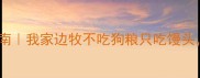 边牧挑食自救指南我家边牧不吃狗粮只吃馒头这样喂才科学