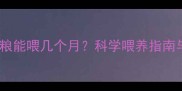 苜蓿草作为兔粮能喂几个月科学喂养指南与注意事项全