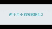 两个月小狗咳嗽呕吐