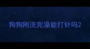 狗狗刚洗完澡能打针吗