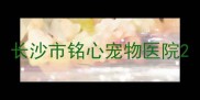 长沙市铭心宠物医院