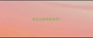 怎么认拉布拉多犬