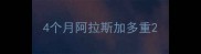 4个月阿拉斯加多重