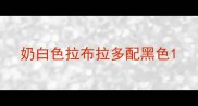 奶白色拉布拉多配黑色