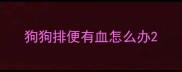 狗狗排便有血怎么办