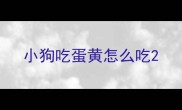 小狗吃蛋黄怎么吃