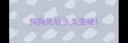 狗狗死后多久变硬