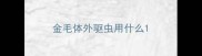 金毛体外驱虫用什么