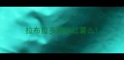 拉布拉多狗吃红薯么