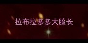 拉布拉多多大脸长