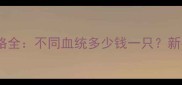 哈士奇宠物狗价格全不同血统多少钱一只新手必看选购指南