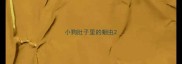 小狗肚子里的蛔虫