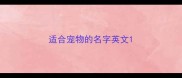 适合宠物的名字英文