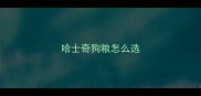 哈士奇狗粮怎么选