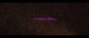 2个月的哈士奇咬人