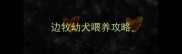 边牧幼犬喂养攻略