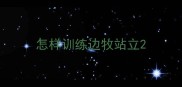 怎样训练边牧站立