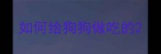 如何给狗狗做吃的