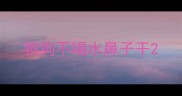 狗狗不喝水鼻子干