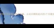 边境牧羊犬如厕训练全攻略从幼犬期到成犬的5个关键步骤