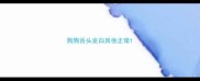 狗狗舌头发白其他正常
