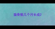 猫骨骼几个月长成