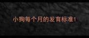 小狗每个月的发育标准