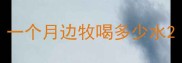 一个月边牧喝多少水
