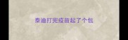 泰迪打完疫苗起了个包