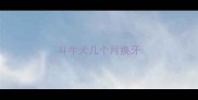 斗牛犬几个月换牙