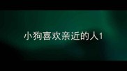 小狗喜欢亲近的人