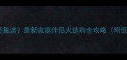 拉布拉多犬哪里买更靠谱最新家庭伴侣犬选购全攻略附低价优质犬舍清单