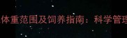拉布拉多成年犬标准体重范围及饲养指南科学管理体重保障健康寿命