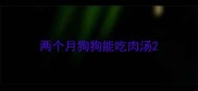 两个月狗狗能吃肉汤