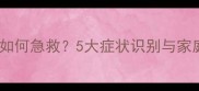 泰迪犬胃出血如何急救5大症状识别与家庭护理全攻略