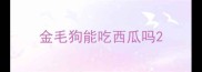 金毛狗能吃西瓜吗